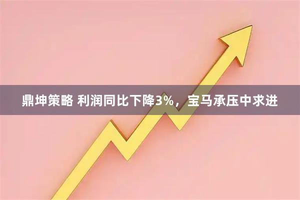 鼎坤策略 利润同比下降3%，宝马承压中求进