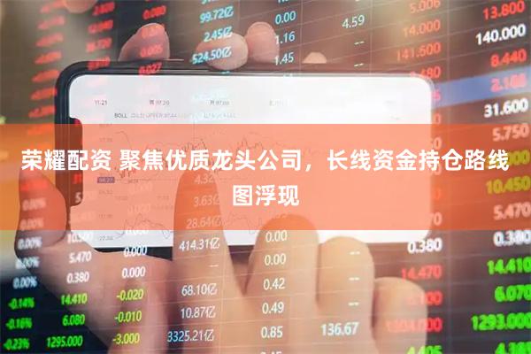 荣耀配资 聚焦优质龙头公司，长线资金持仓路线图浮现